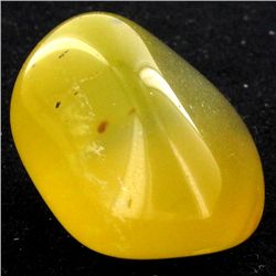 45.65ct Yellow Opal Freeform Cabochon (GEM-34376)