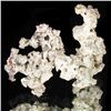 Image 1 : 45ct Natural Silver Crystal Cluster (MIN-000358)