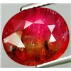 Image 1 : 5.11ct Natural Bi-Color Watermelon Tourmaline (GEM-29942)