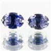 Image 1 : 4.59twc Iolite Sterling Earrings (JEW-2644)