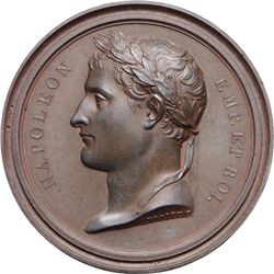 NAPOLEONICHE