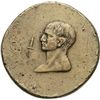 Image 1 : NAPOLEONICHE