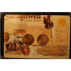 2 Sacagawea Dollar In Nice Frame