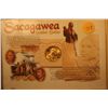 Image 1 : 1 Sacagawea Dollar In Nice Frame