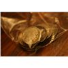 Image 1 : Lot Of 10 Buffalo Nickels (Mixed Dates)