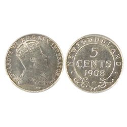 Nfld 1908 5¢ PCGS MS64.  PQ for issue.