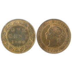 1900 1¢ PCGS MS64RB.  50% lustre.