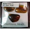 Image 1 : 225. (3) Montana Agate Cabs. 1 oval, & 2 free form.