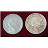 Image 1 : 507. 1913 P & D Buffalo Nickels. Both with light environmental damage.