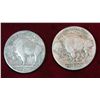 Image 2 : 507. 1913 P & D Buffalo Nickels. Both with light environmental damage.