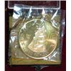 Image 1 : 1521. 1981 45th Anniversary Pela Tulip Time Medal.