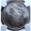 Image 2 : 1883O  Morgan $ NGC65