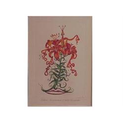 Salvador Dali (1904-1989) Spanish LILIUM AURA
