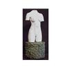 Image 1 : Robert Graham (b. 1938) American FEMALE TORSO