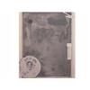 Image 1 : Jasper Johns (b. 1930) American SOUVENIR I (F