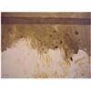 Image 1 : Philippe (20th Century) UNTITLED, oil paintin