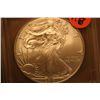 Image 1 : 2010 Silver Eagle (ICG-MS69)
