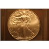 Image 1 : 2009 Silver Eagle (ICG-MS69)
