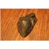 Image 1 : Broken Megalodon Tooth
