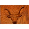 Image 1 : Longhorn Jacket Holder