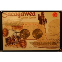 2 sacagawea dollars in frame