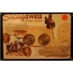 2 sacagawea dollars in frame