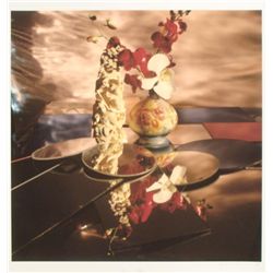 Deborah Freeman Signed Photo: Chinese Ivory Place