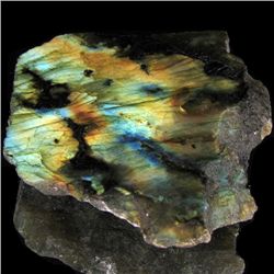 320ct Flashy Peacock Color Labradorite Slab  (GEM-39123)