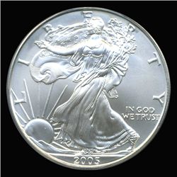 2005 Silver Eagle Graded GEM MS70 (COI-6269)