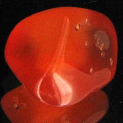 14.35ct Carnelian Freeform Cabochon (GEM-34087)