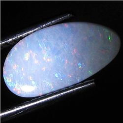 1.32ct Australian Black Opal Doublet Full Fire (GEM-31463)