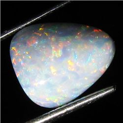 4.4ct Australian Black Opal Doublet Full Fire (GEM-36484)