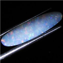 4.24ct Australian Black Opal Doublet Full Fire (GEM-35903)