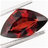 Image 1 : 3.74ct Intense Red Garnet (GEM-17573)