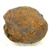 Image 2 : 315ct Natural Tribolite Fossil Uncleaned In Nodule (MIN-000202)
