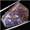 Image 1 : 20.65ct Rare Glowing Multi-color Ammonite Triplet (GEM-31994)