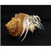 Image 2 : Hand Formed Glass Hermit Crab (DEC-388)