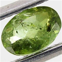 0.45ct Chrome Green Tourmaline Oval (GEM-40714)