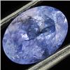 Image 1 : 0.9ct Top Color Tanzanite Oval (GEM-38877)