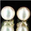 Image 1 : Peach Pearl Stud Earrings (JEW-1826)