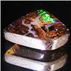 7.6ct Boulder Opal Cabochon (GEM-40855)