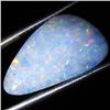 7.85ct Australian Black Opal Doublet Full Fire (GEM-35985)
