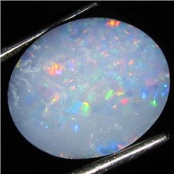 3.99ct Australian Black Opal Doublet Full Fire (GEM-36143)