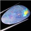 6.27ct Australian Black Opal Doublet Full Fire (GEM-36088)