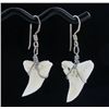 Sterling Shark Ivory Earrings (JEW-1958)
