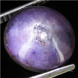 7.55ct Natural Star Ruby Well Patterned  (GEM-32101)