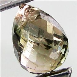 0.84ct Green Tourmaline Briolette (GEM-40614)