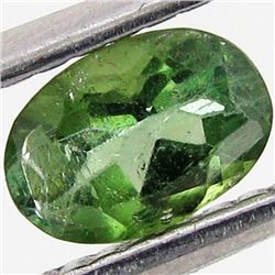 0.42ct Chrome Green Tourmaline Oval (GEM-40730)