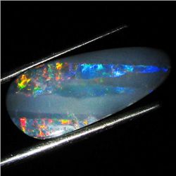 3.65ct Australian Black Opal Doublet Full Fire (GEM-36570)