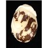 Image 2 : Chinese Handcarved Tagua Ivory Nut (CLB-729)